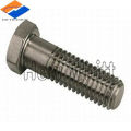 titanium hex bolts in GRADE 5